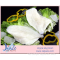 Gefrorene Meeresfrüchte John Dory Filets mit Haut